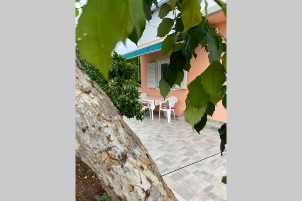 Manuel Διαμέρισμα Κόρτσουλα Εξωτερικό φωτογραφία